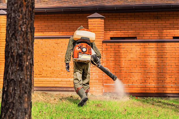 Trusted Emergency Pest Control service in Maunawili, HI - Nex Pest Control
